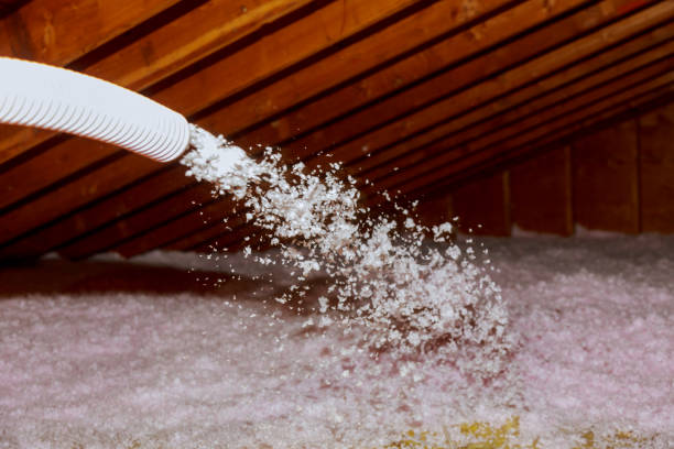 Best Insulation for Specific Applications in Grenelefe, FL